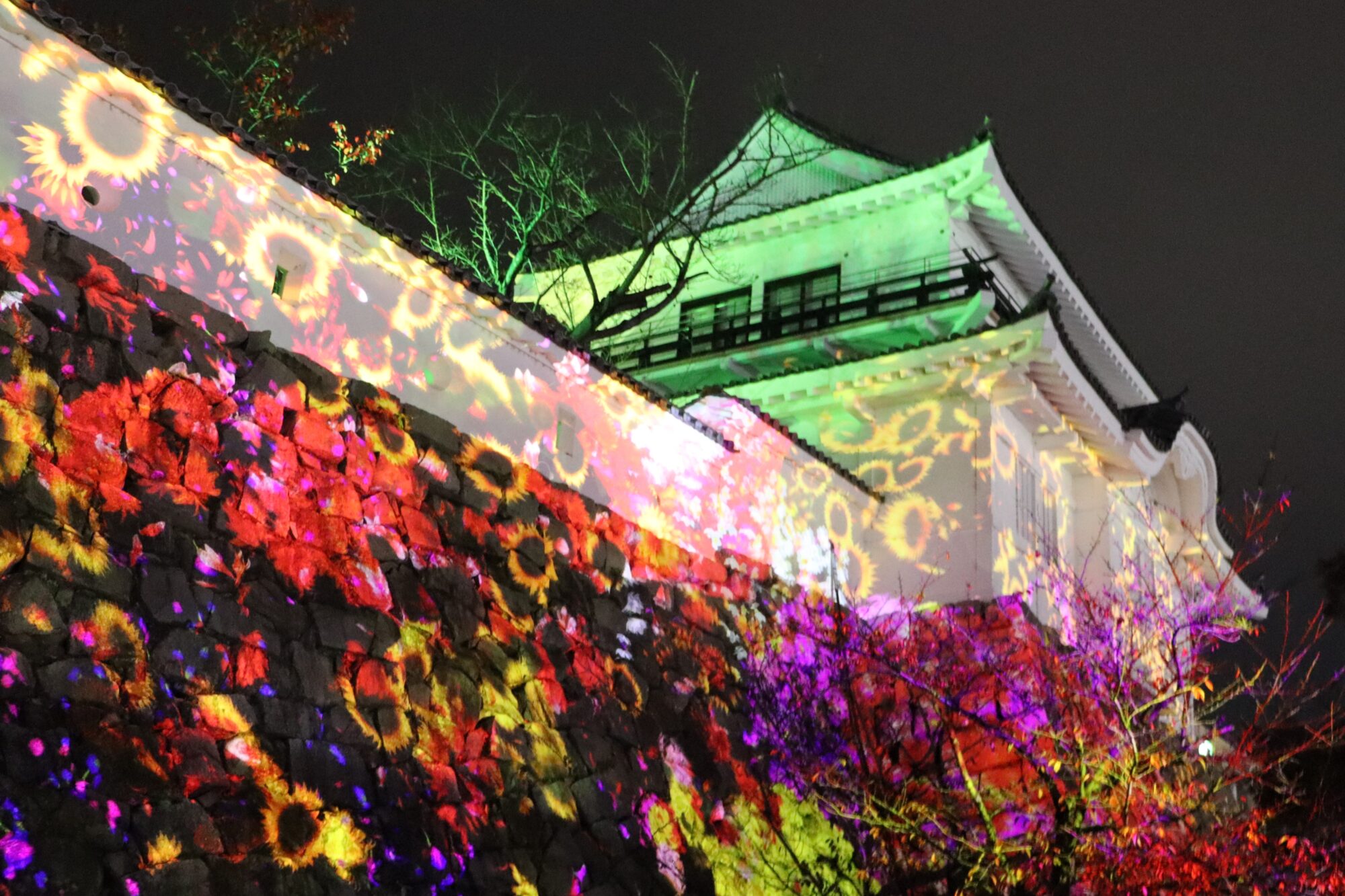 福山城光の祭 (13)