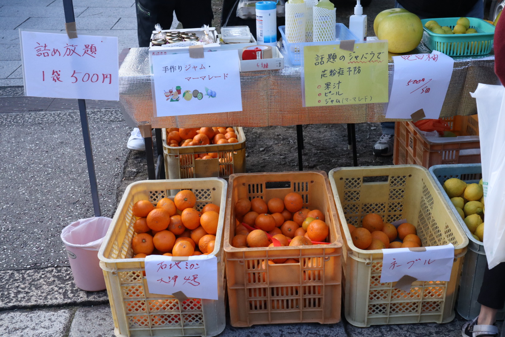 みかん詰め放題