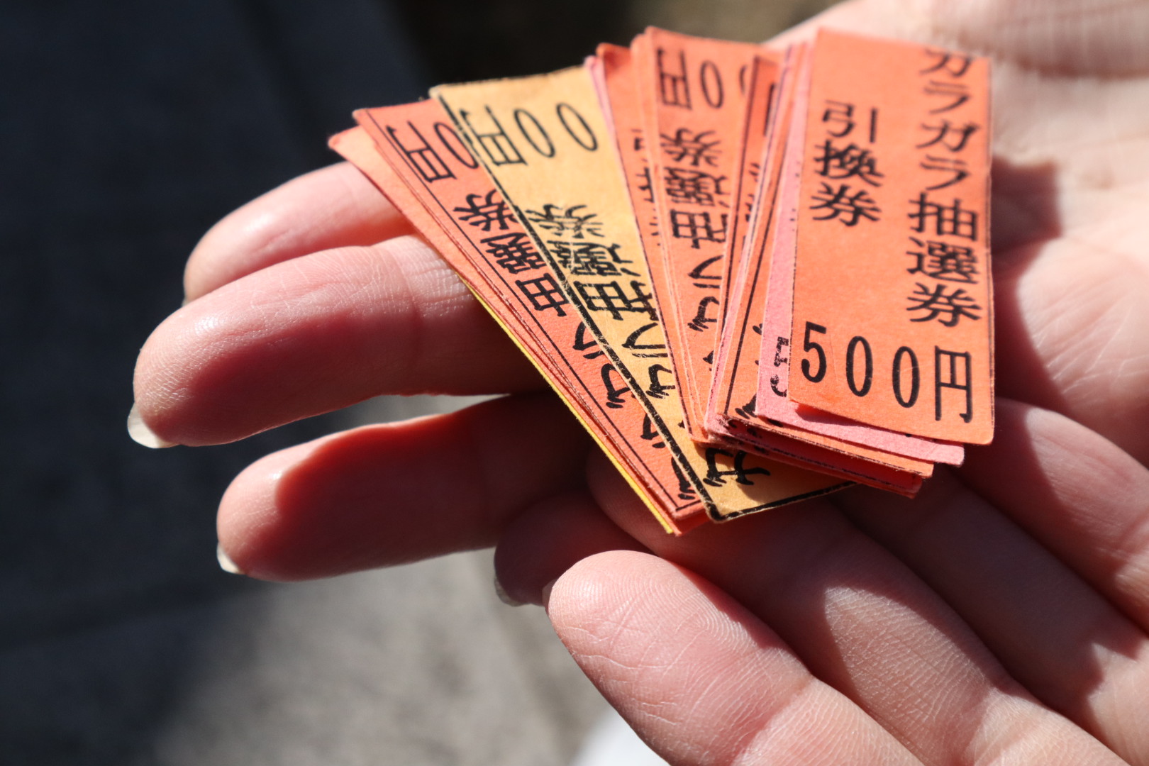 お楽しみ抽選券