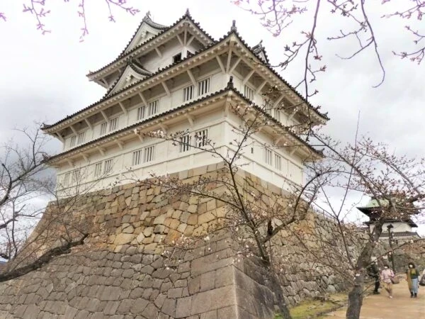福山城伏見櫓 特別公開 ～ 名誉城代・田村淳さんが繰り出す 福山城PRの“二の矢”とは？