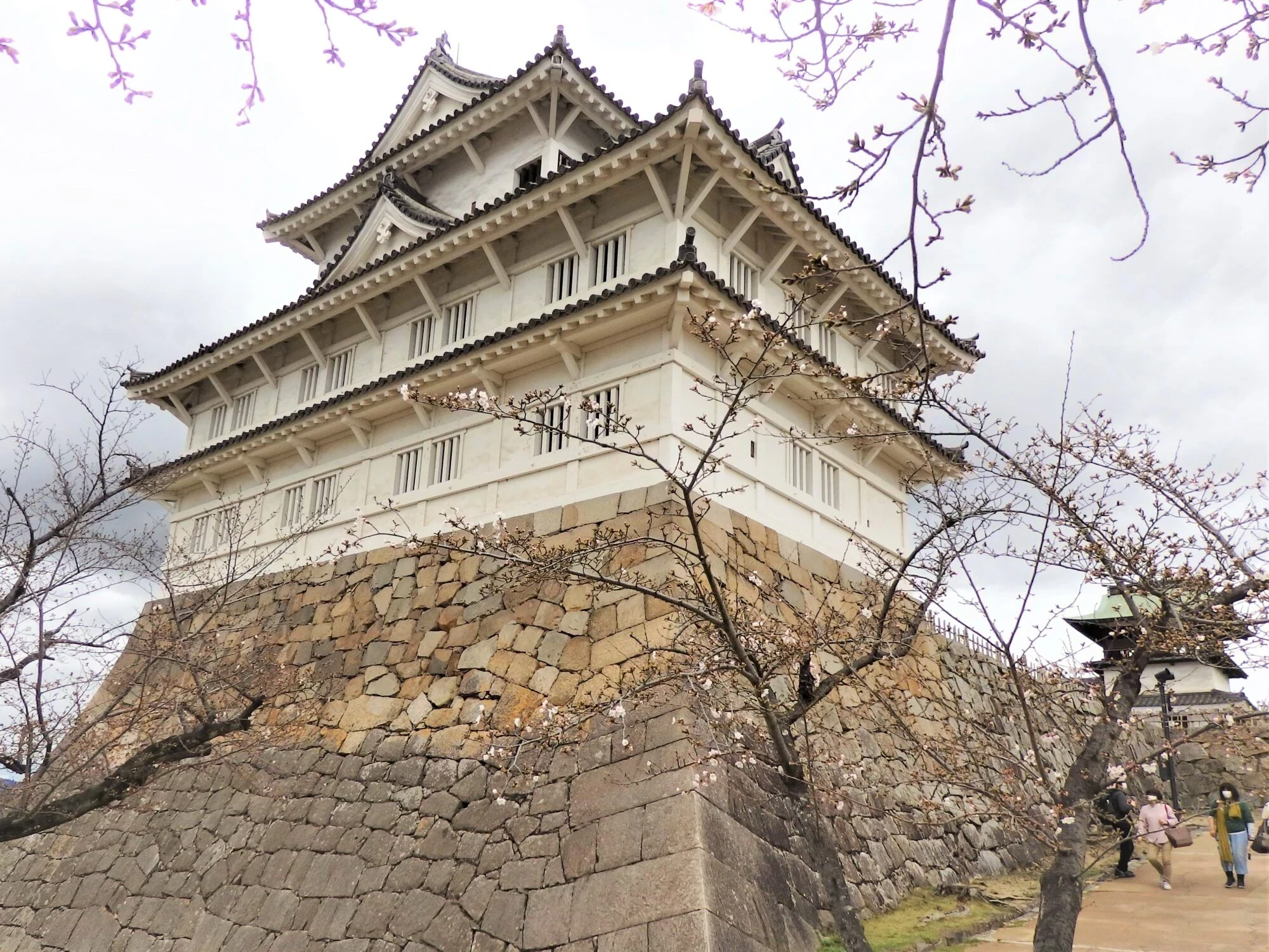 福山城伏見櫓 特別公開 ～ 名誉城代・田村淳さんが繰り出す 福山城PRの“二の矢”とは？