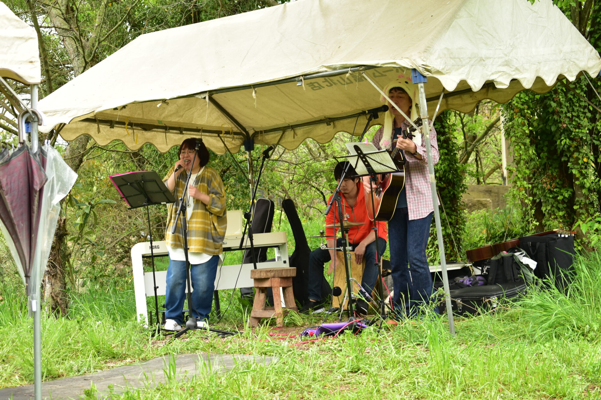 ライブ