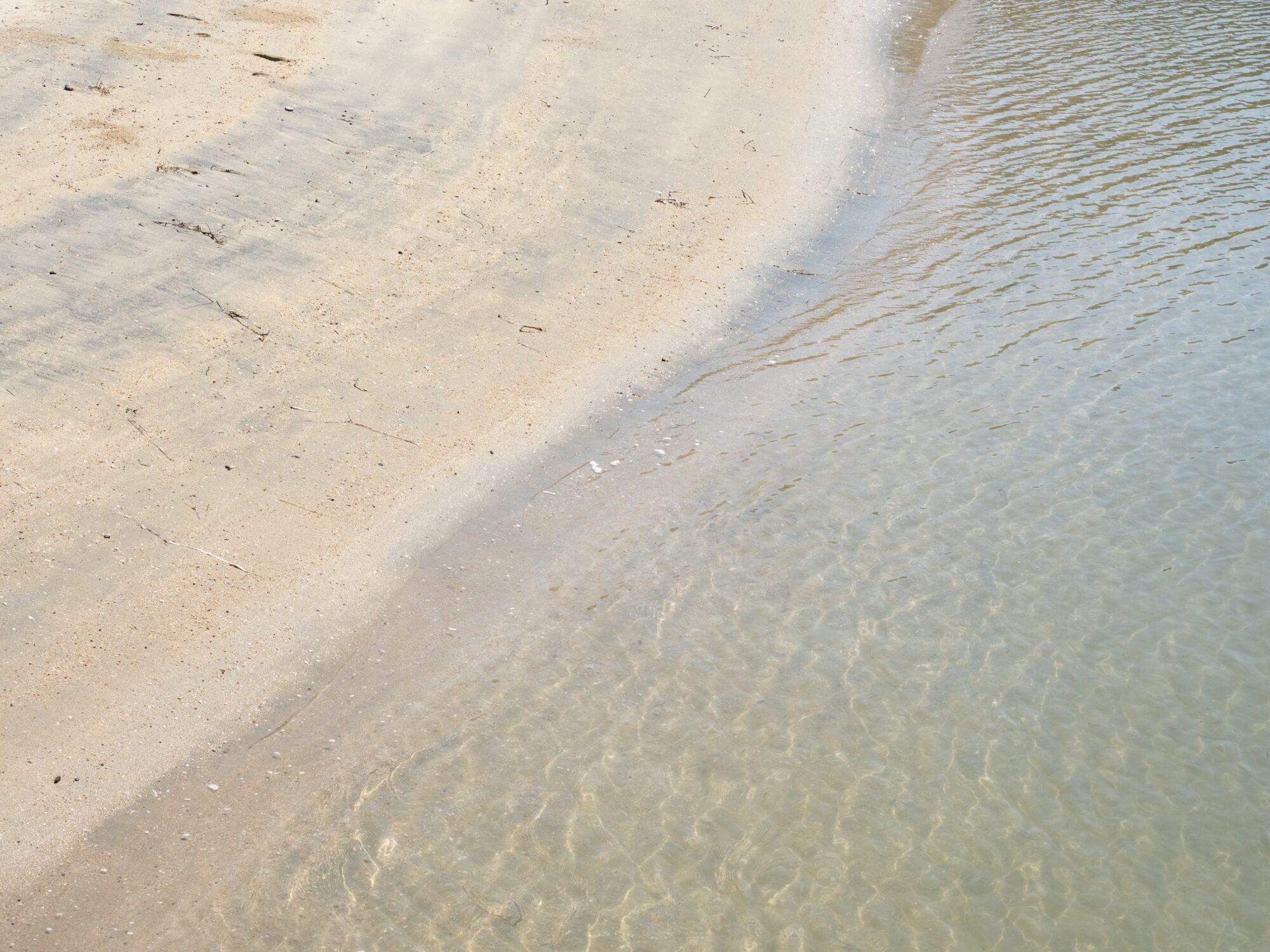 クレセントビーチ海浜公園：砂浜