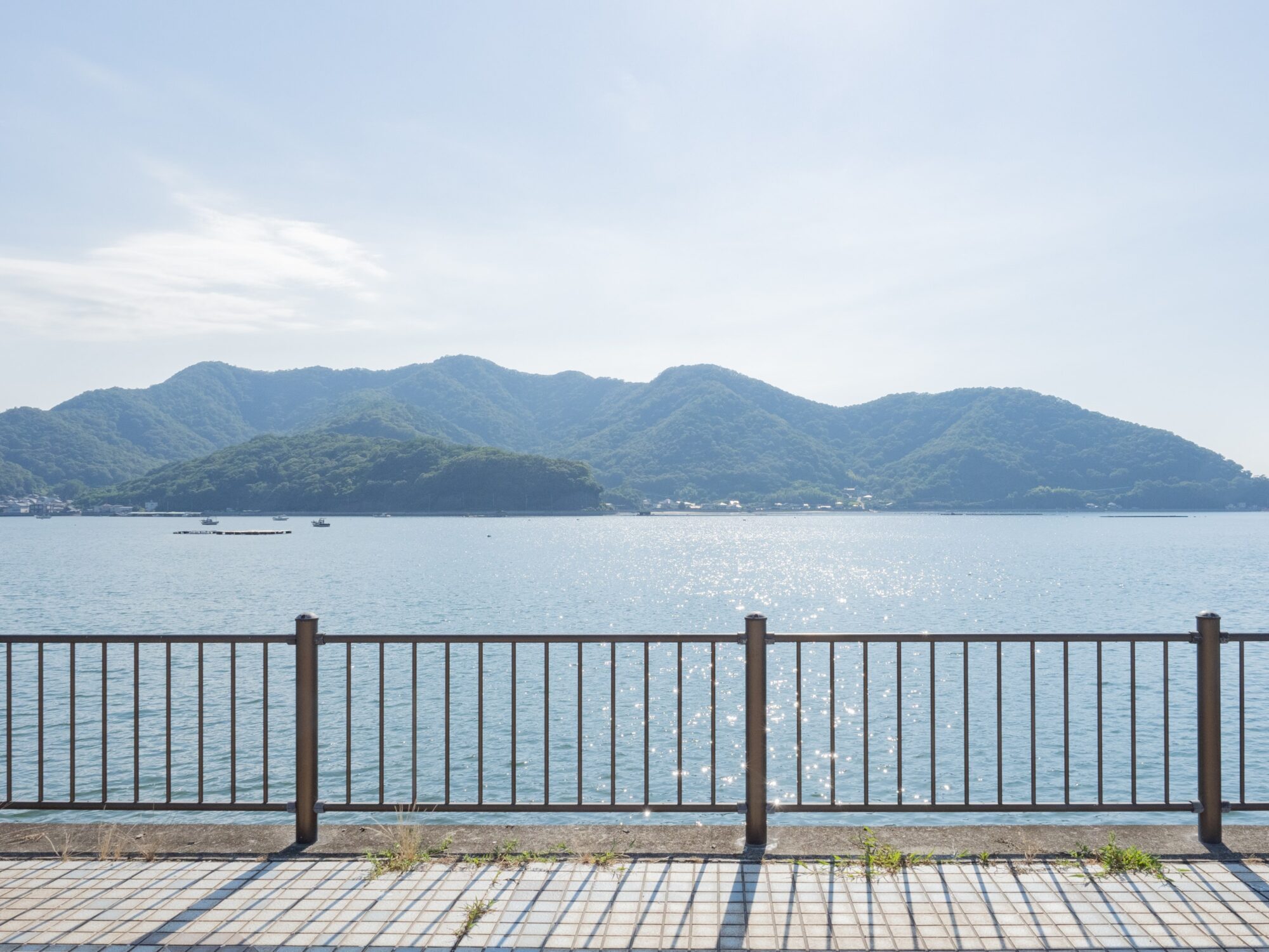 クレセントビーチ海浜公園：キャンプサイト Eサイト