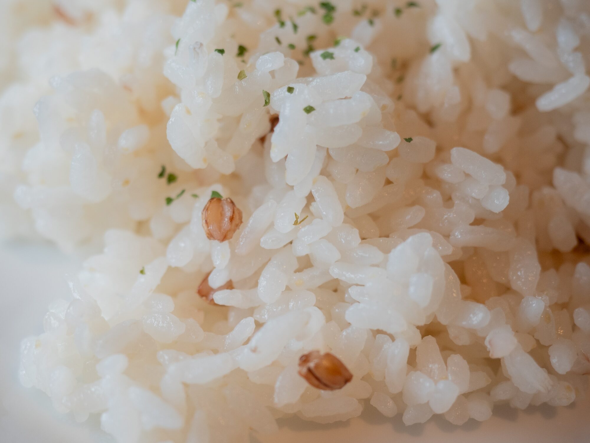 芦原商店：芦原ランチ