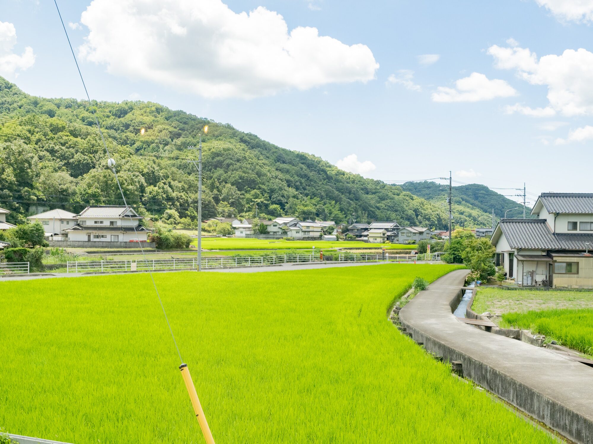芦原商店：店内からの眺め