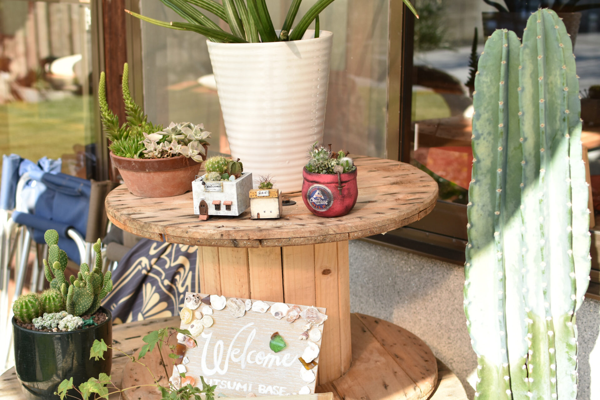 「サボテンの寄植え教室」での作品