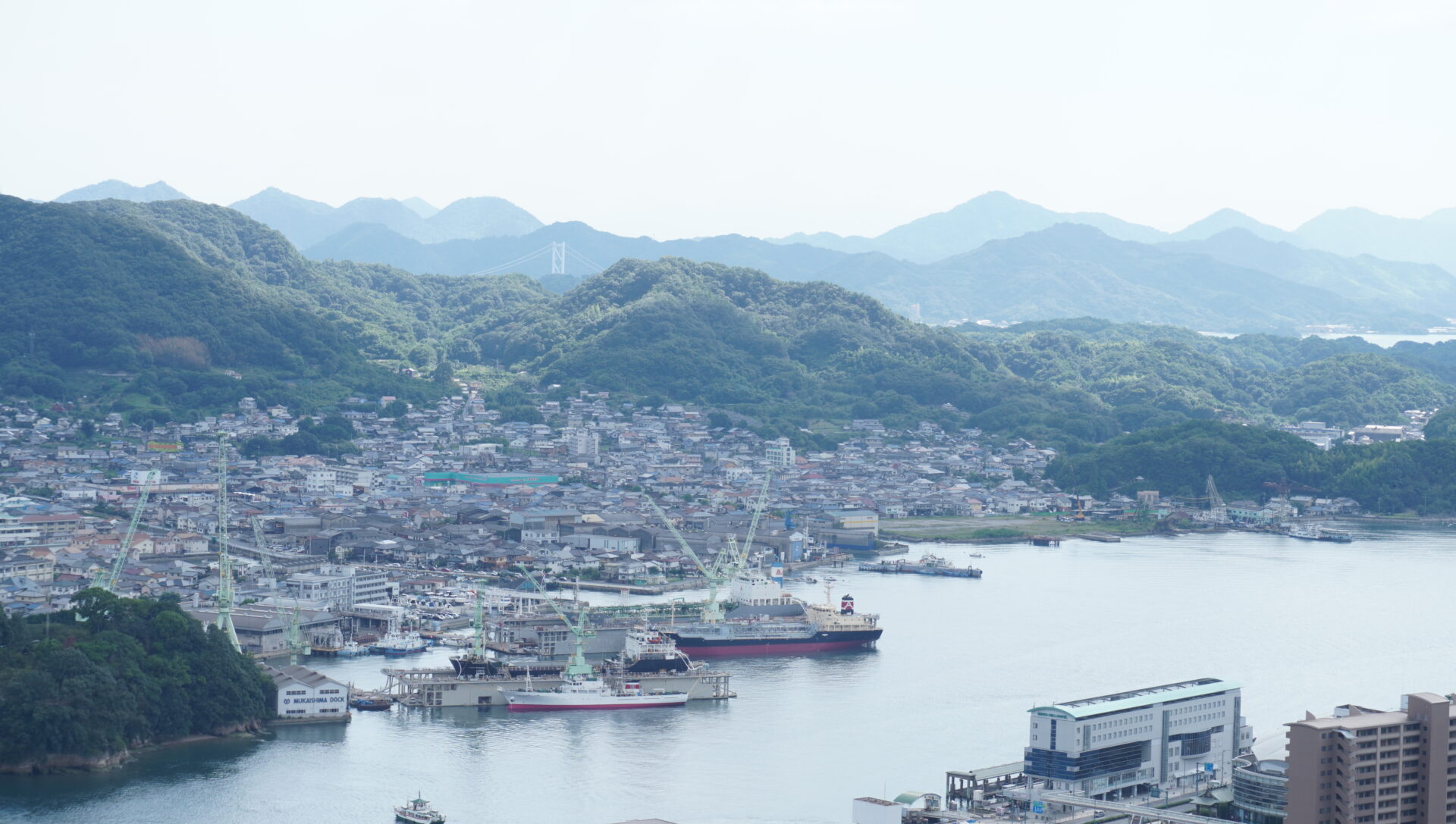向島の眺め