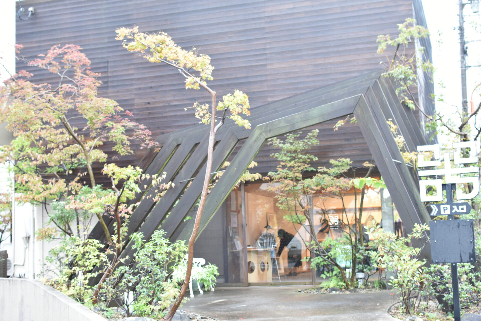 植栽は前田さんと付き合いのある庭師さんが手掛けた