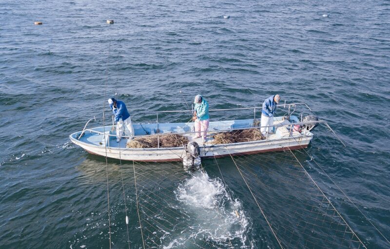 マルコ水産 ~ おいしいのりを食べてほしい!田島の海苔師の物語 - 備後とことこ
