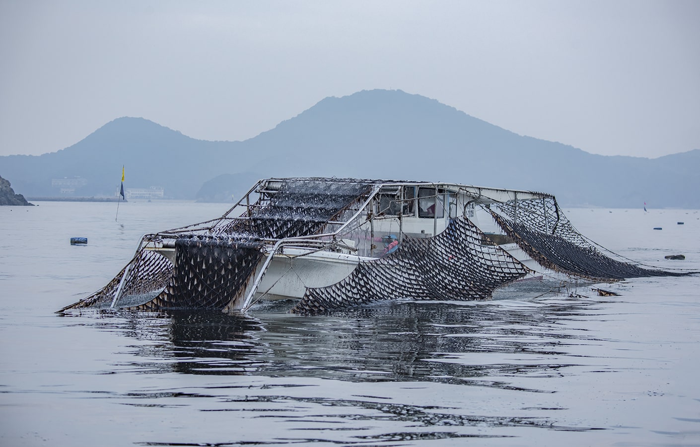 のりの収穫　写真提供：マルコ水産