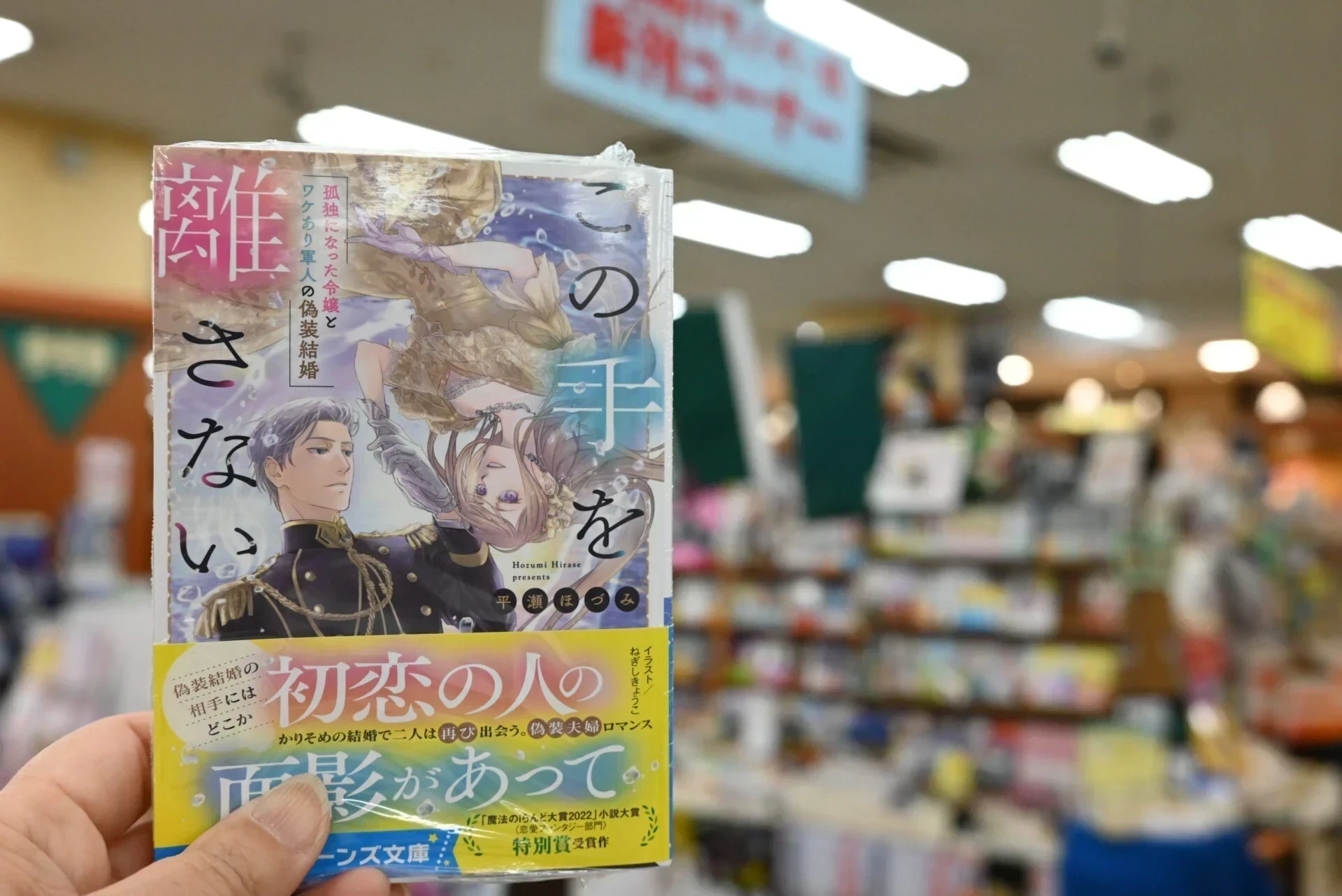 平瀬ほづみ ～ KADOKAWAから書籍化！Webライターから転身した備後在住の作家