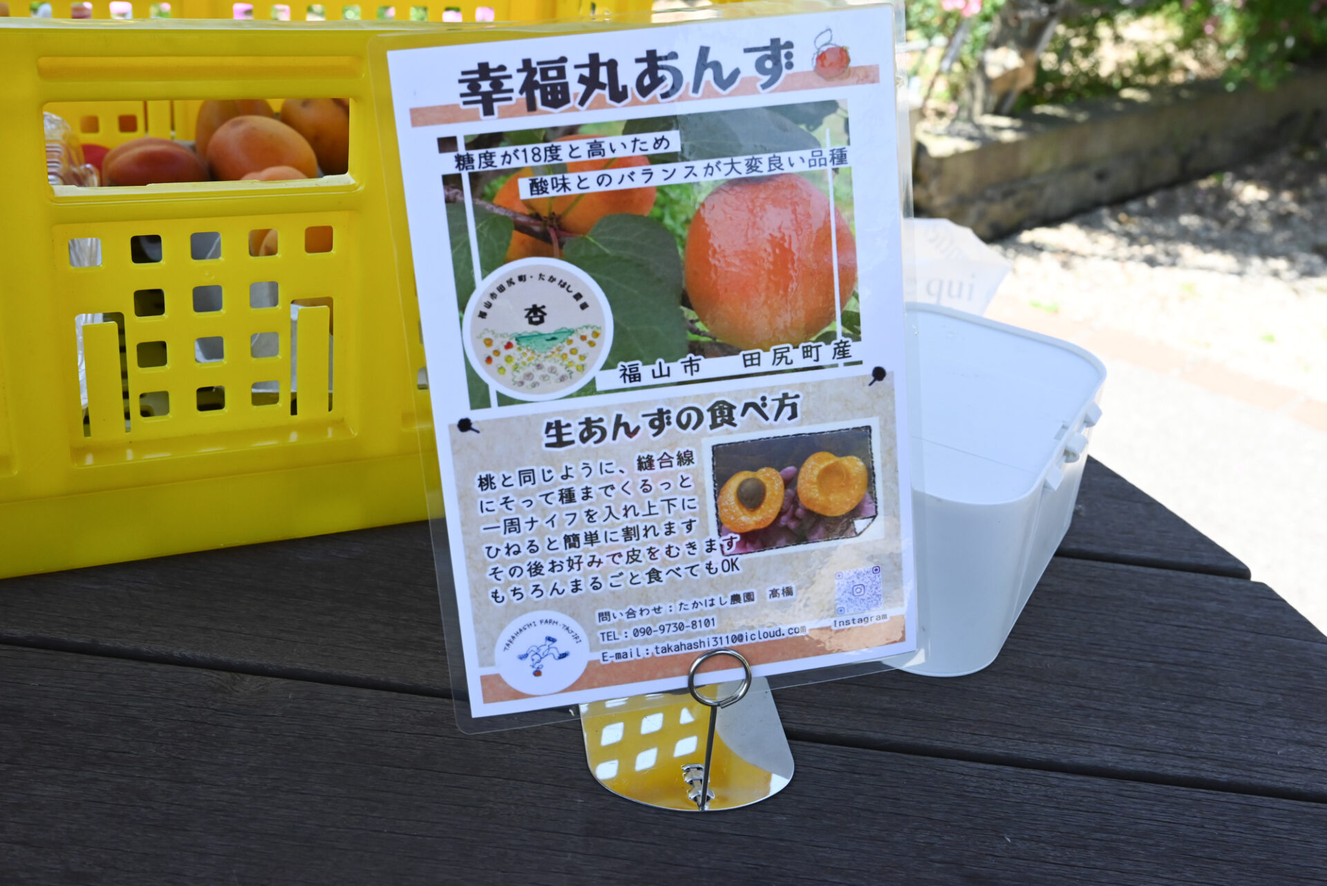 あんずの食べ方