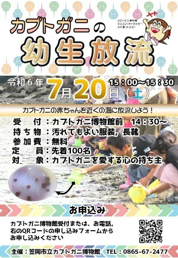 カブトガニの幼生放流