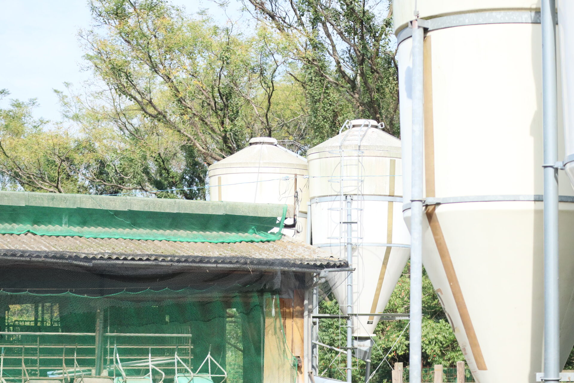 内海町にある養豚場