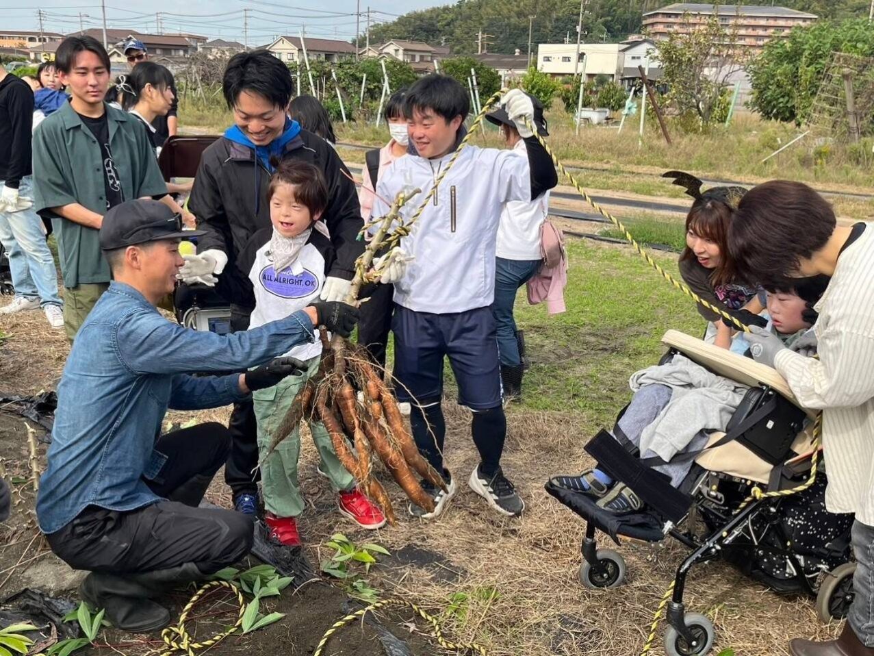 力を合わせて収穫（画像提供：SOLFARM）