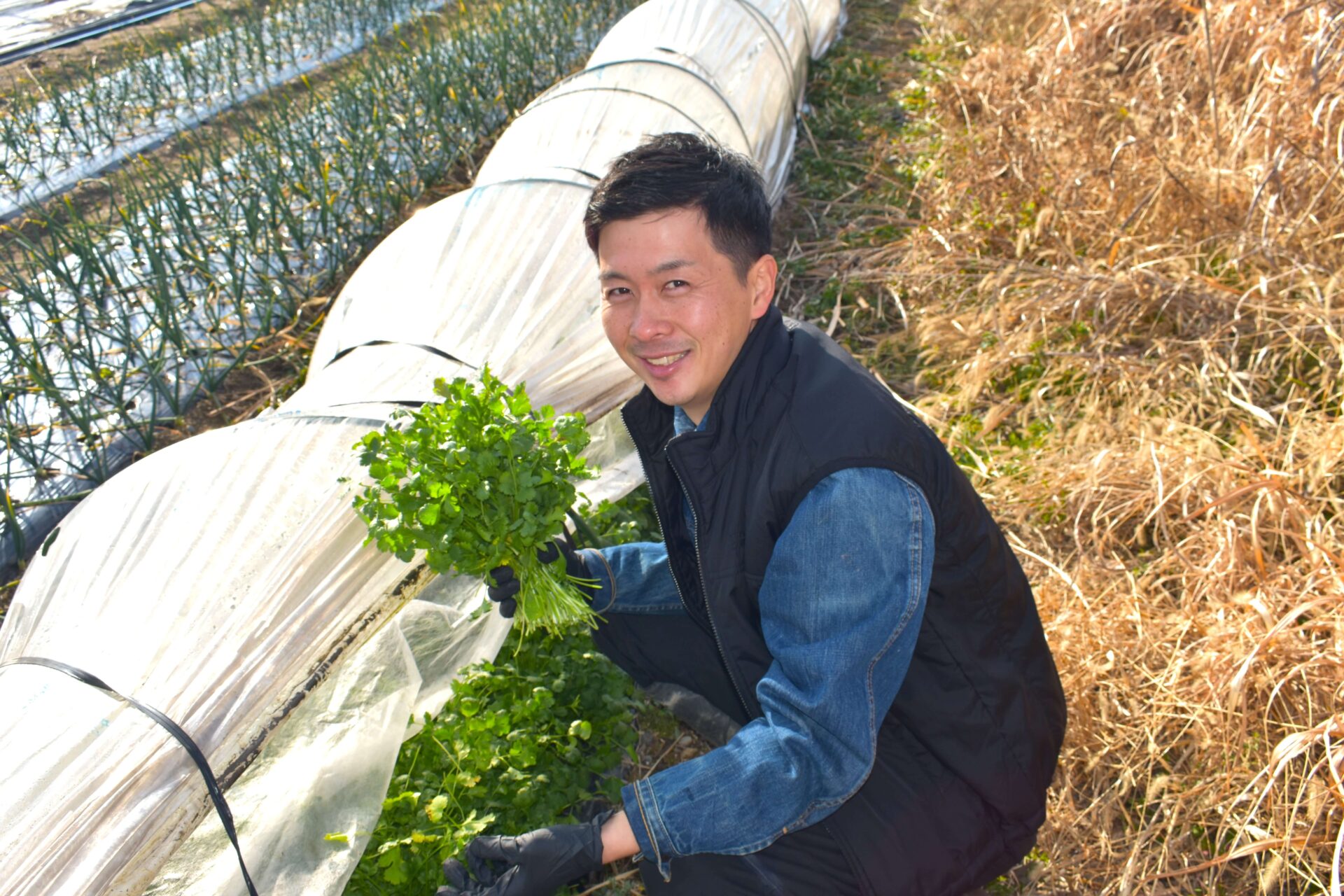 パクチーは鍋の具材にしてもおいしいと語る石井さん