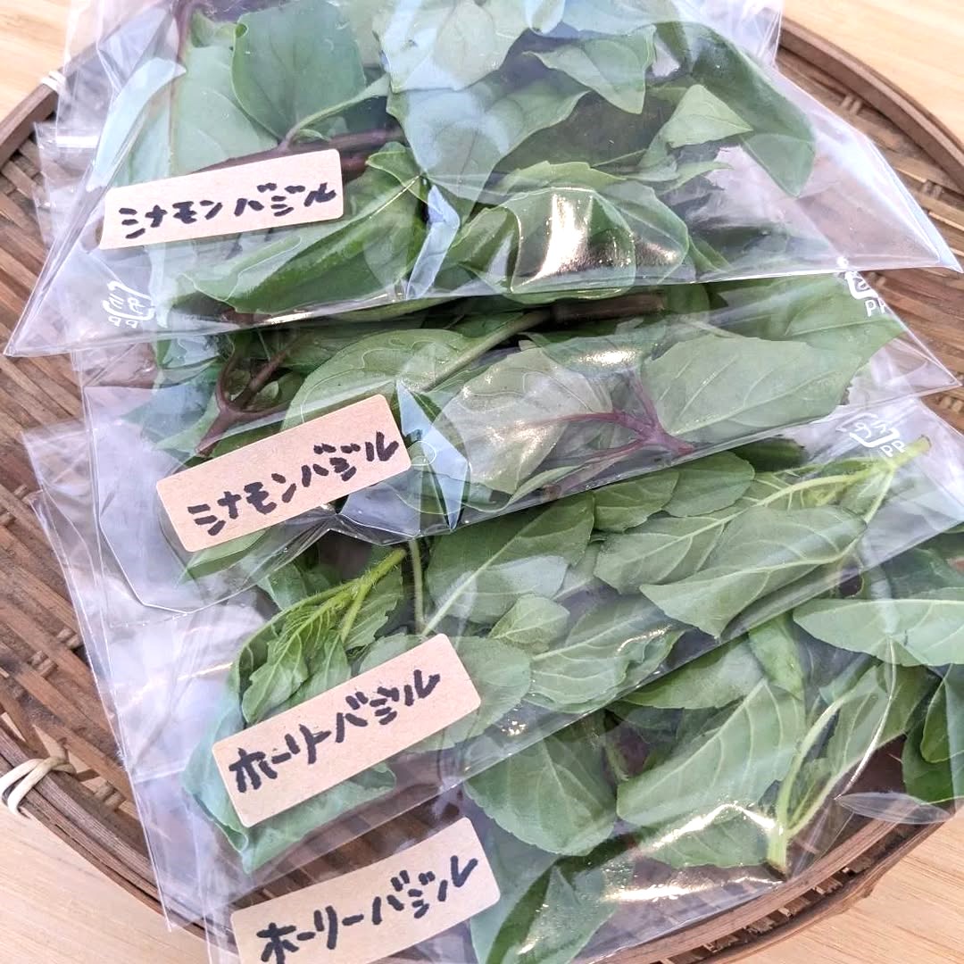 おいしいアジア野菜（画像提供：SOLFARM）