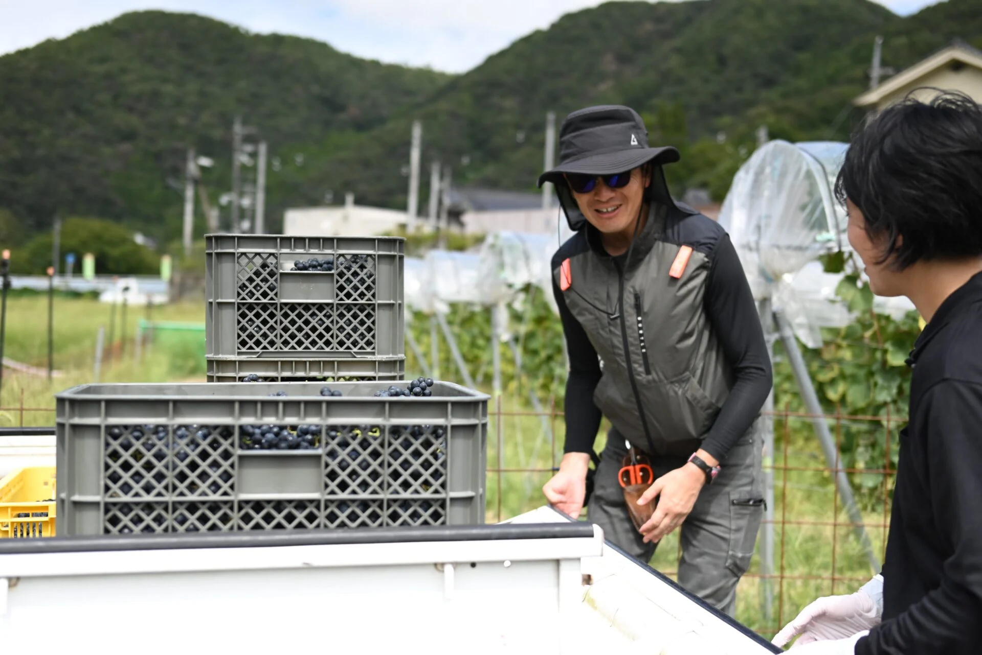 収穫作業中の峯松さん（2024年9月撮影）