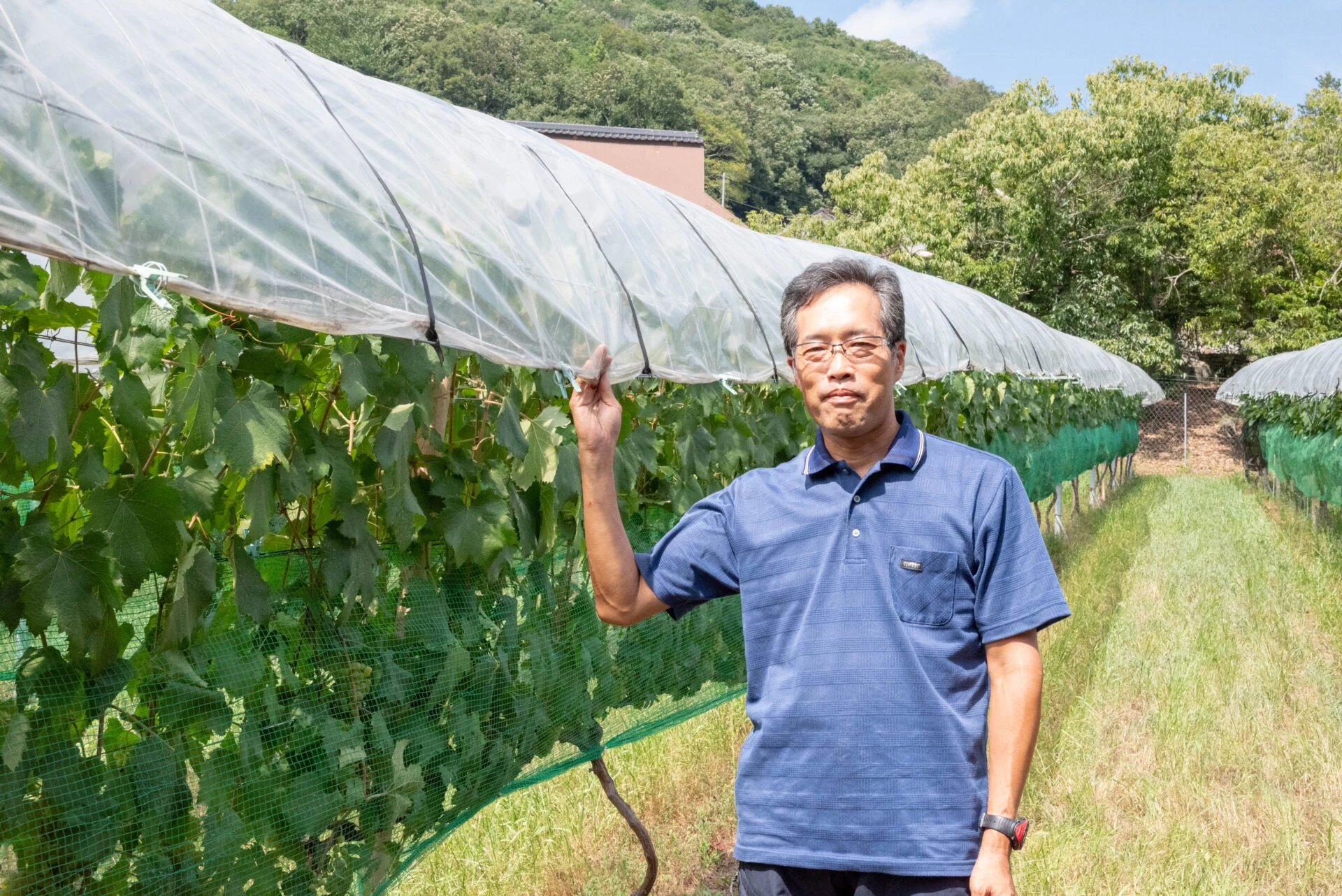 山野峡大田ワイナリー 代表取締役 大田祐介さん