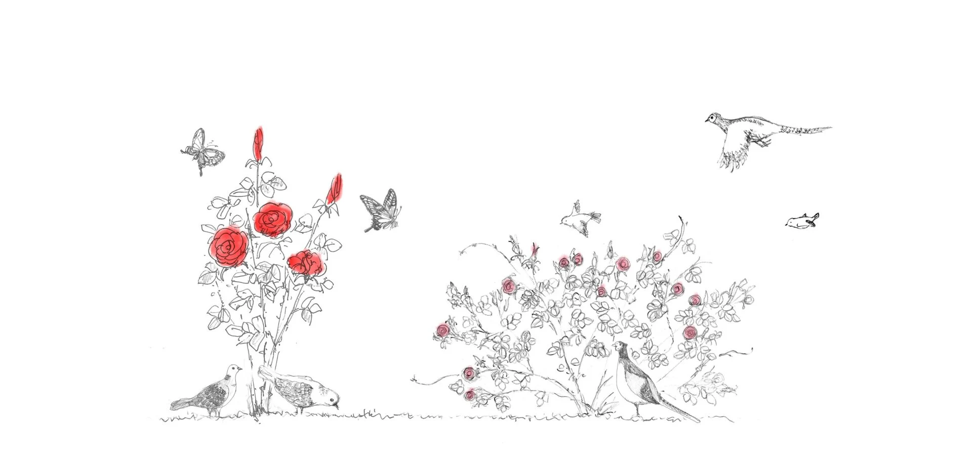 画像提供:マチモト