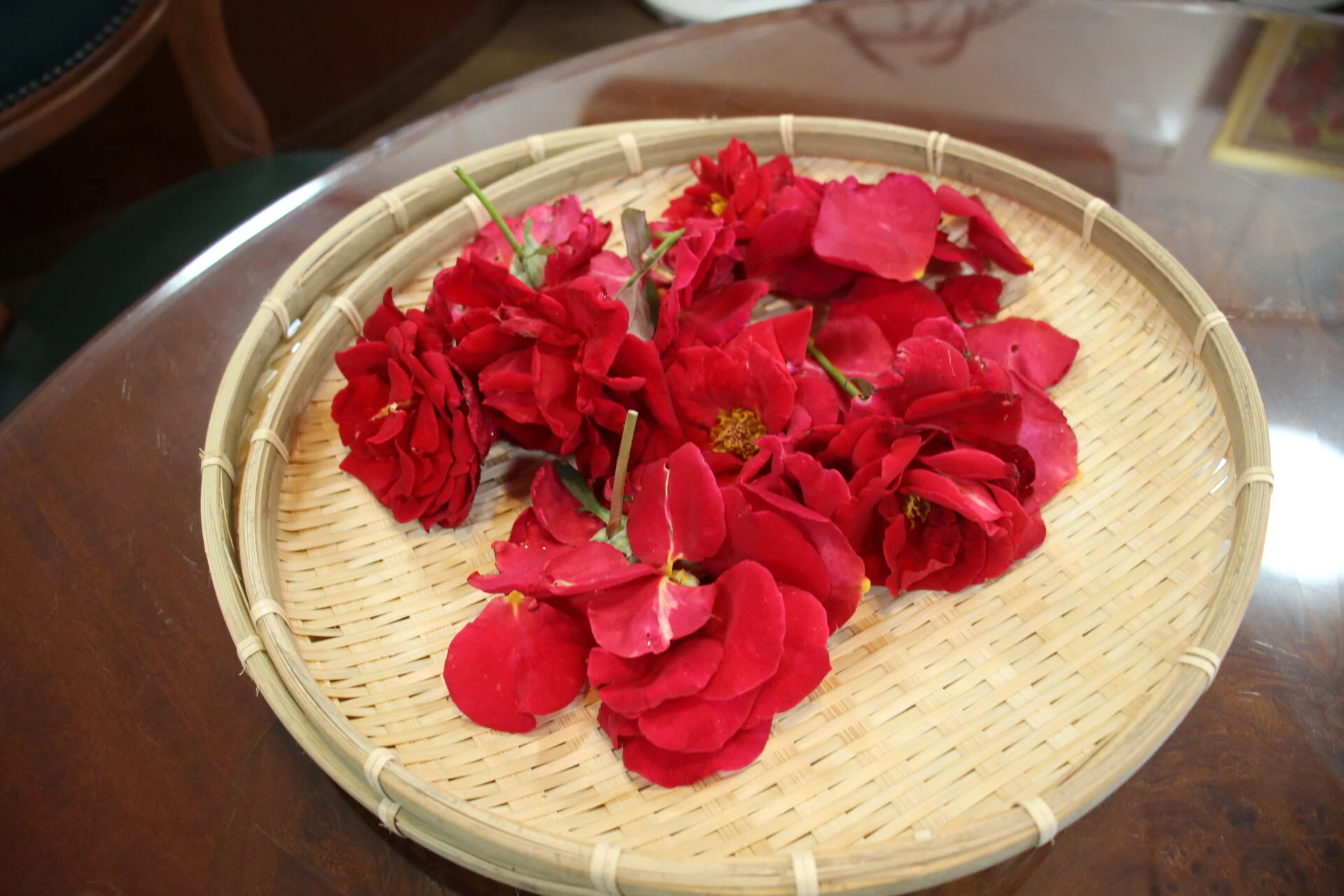 摘んだばかりのバラの花