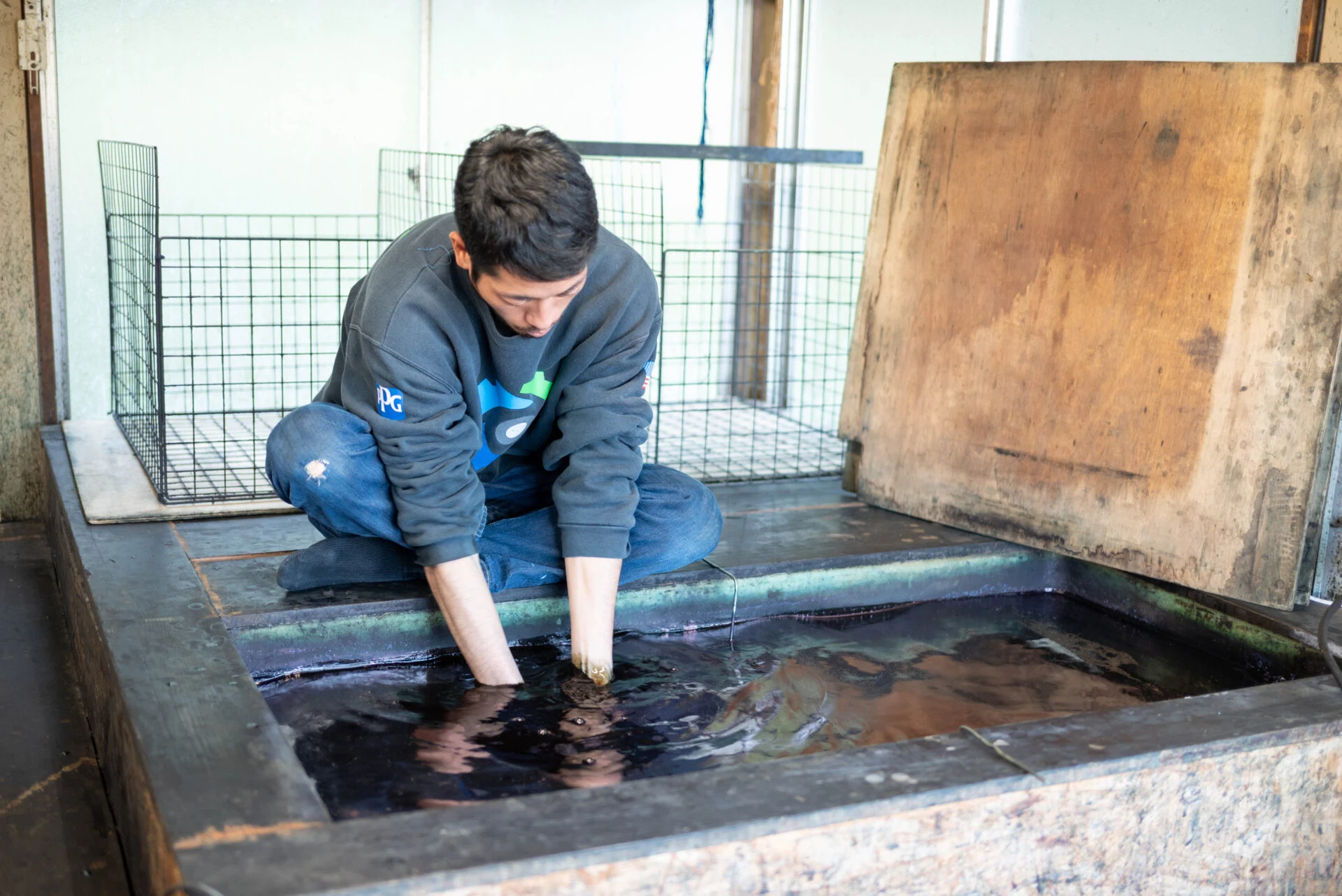 手袋をせず素手で藍染をおこなうのは、微妙な感覚をつかむため 藍に染まった手は藍屋の証だ