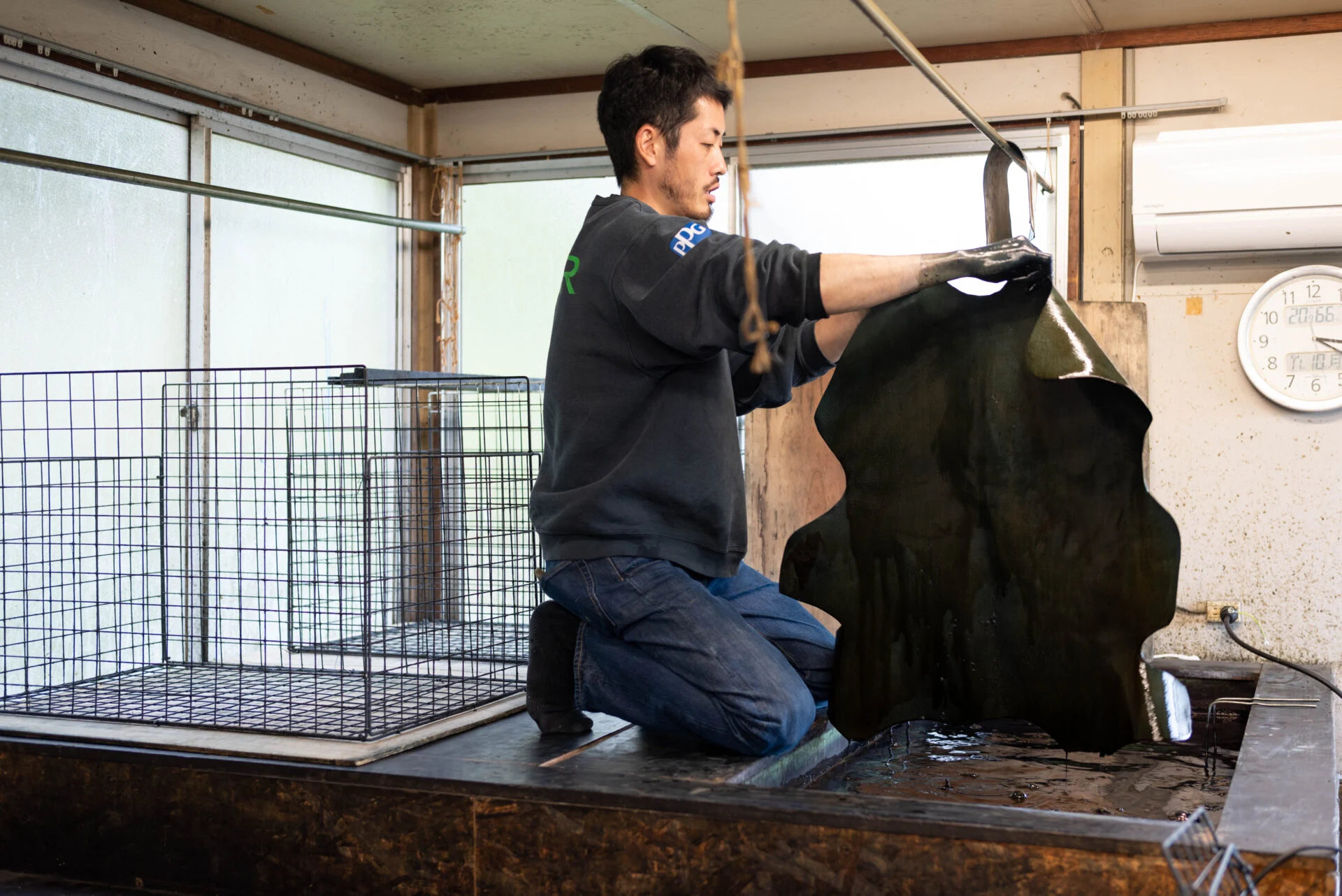 藍染液から取り出した革は少し緑がかった色だが、空気に触れるとサッと青く変わる