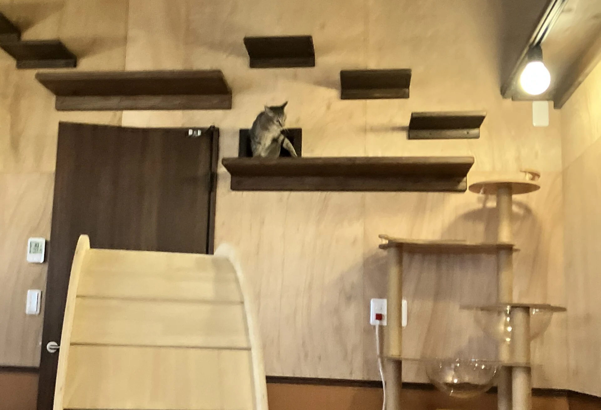 カフェから見た出勤のようす