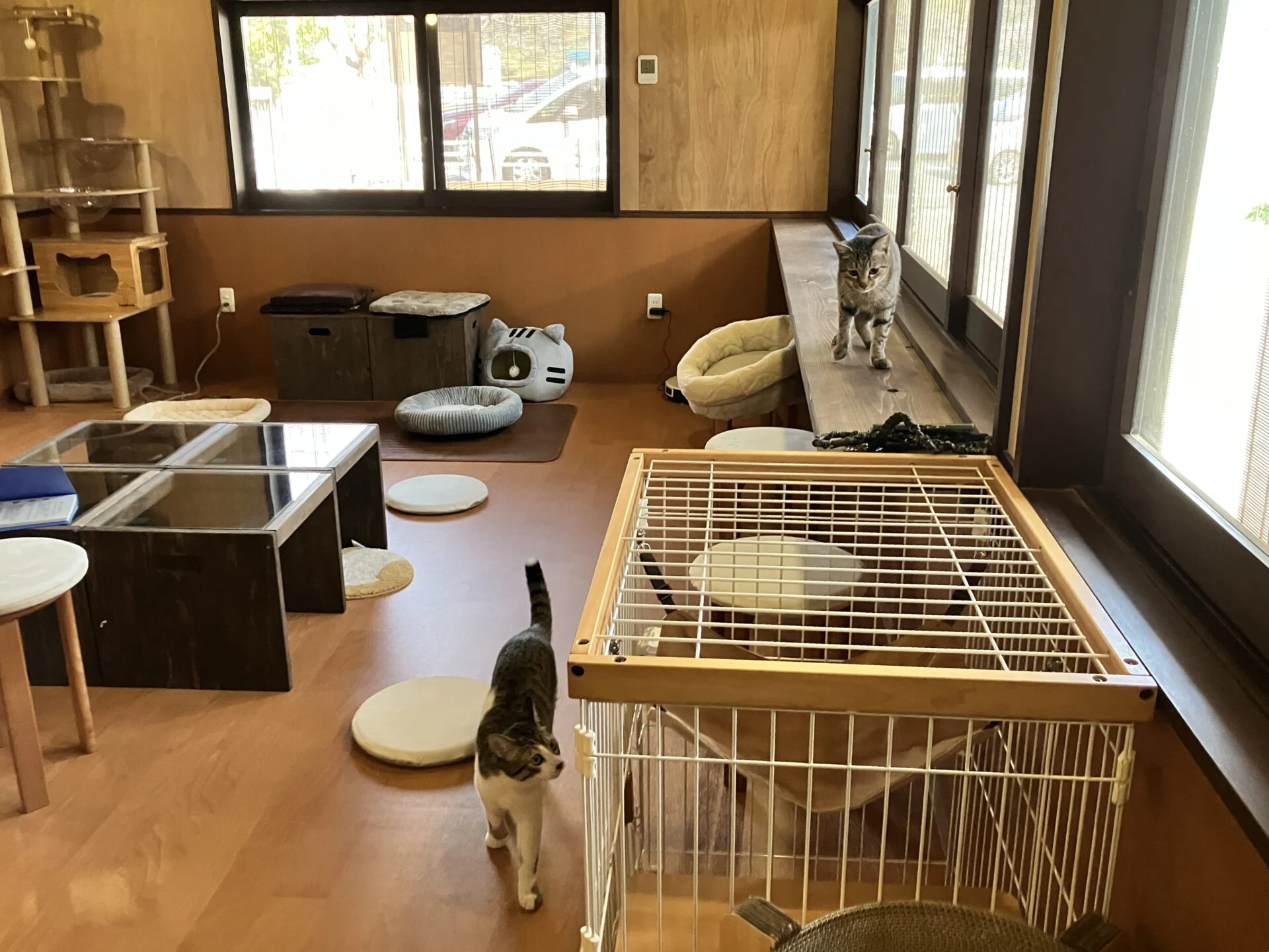 フェザ君(手前)とフク君(奥)がお出迎え。手前のゲージは休憩用で自分で出入りする