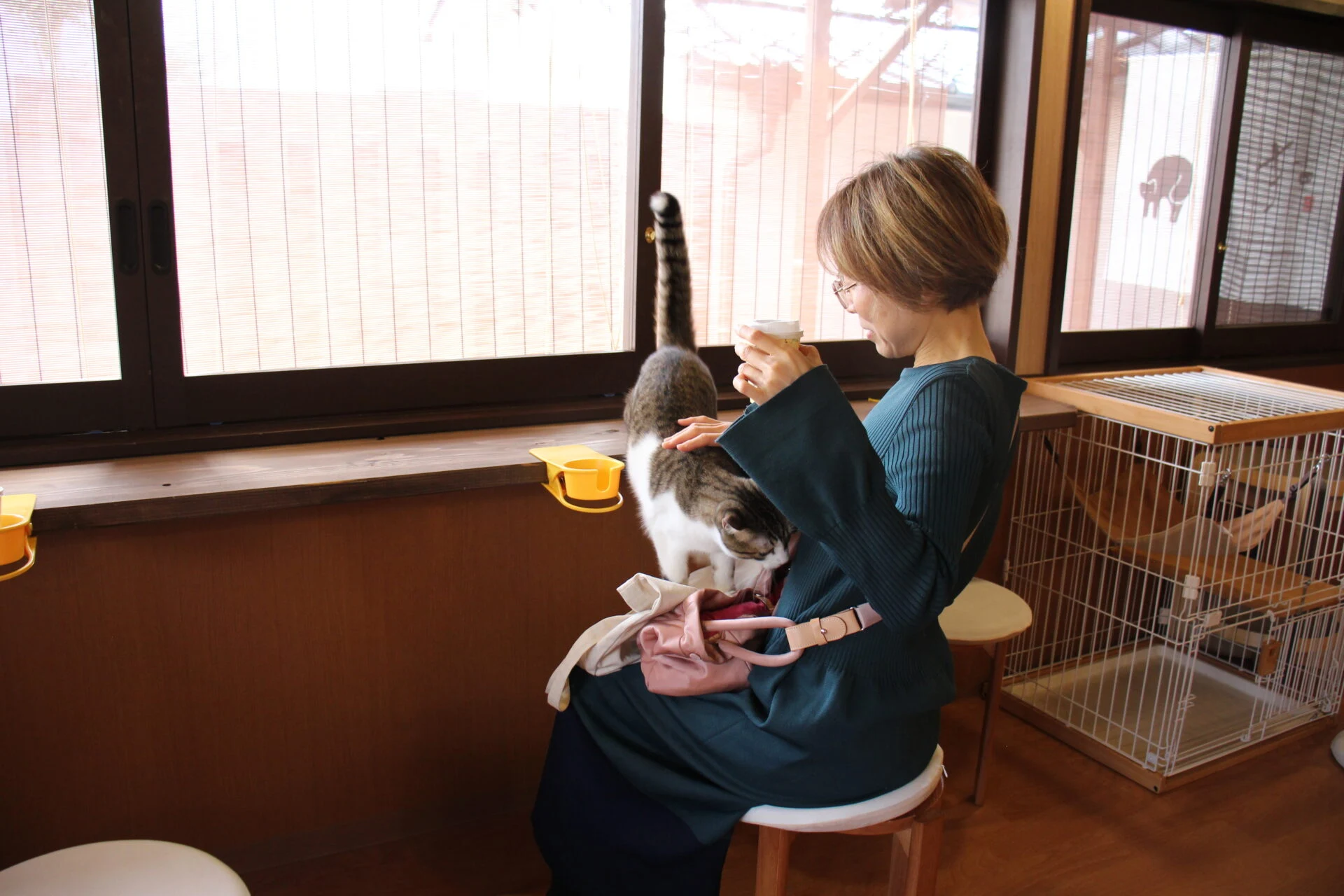 膝に乗るフェザ君