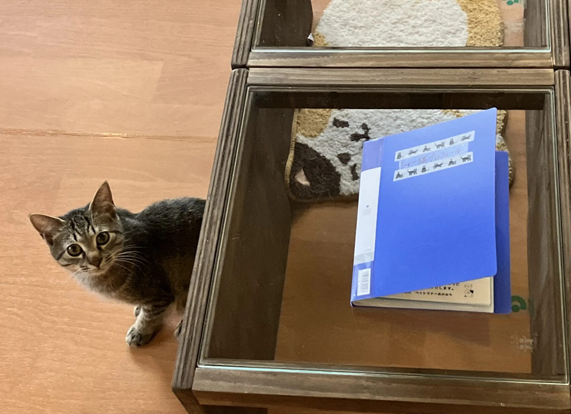 よく読んでニャ