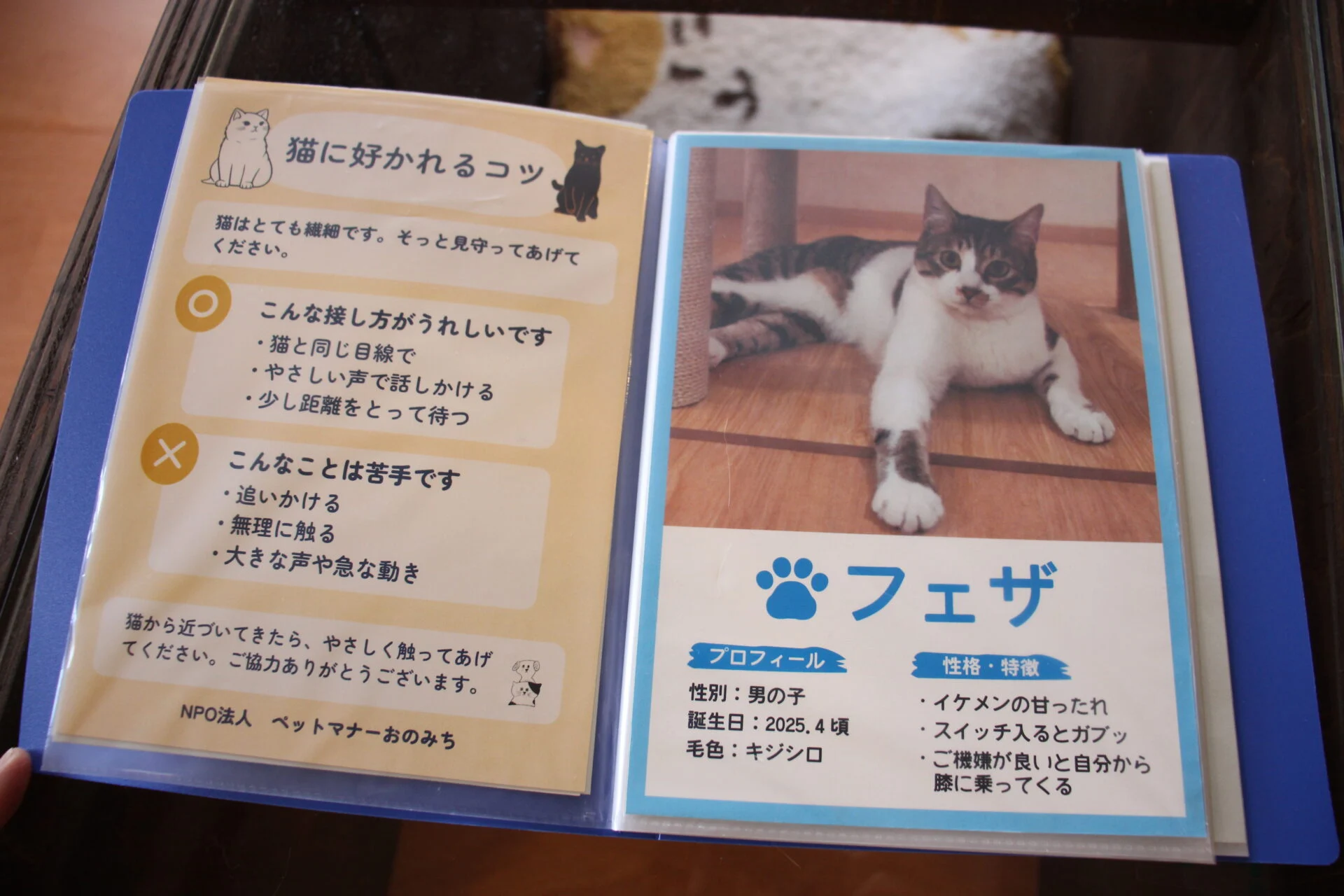 優しい声でそっと見守ることが仲良く過ごすポイントだそう