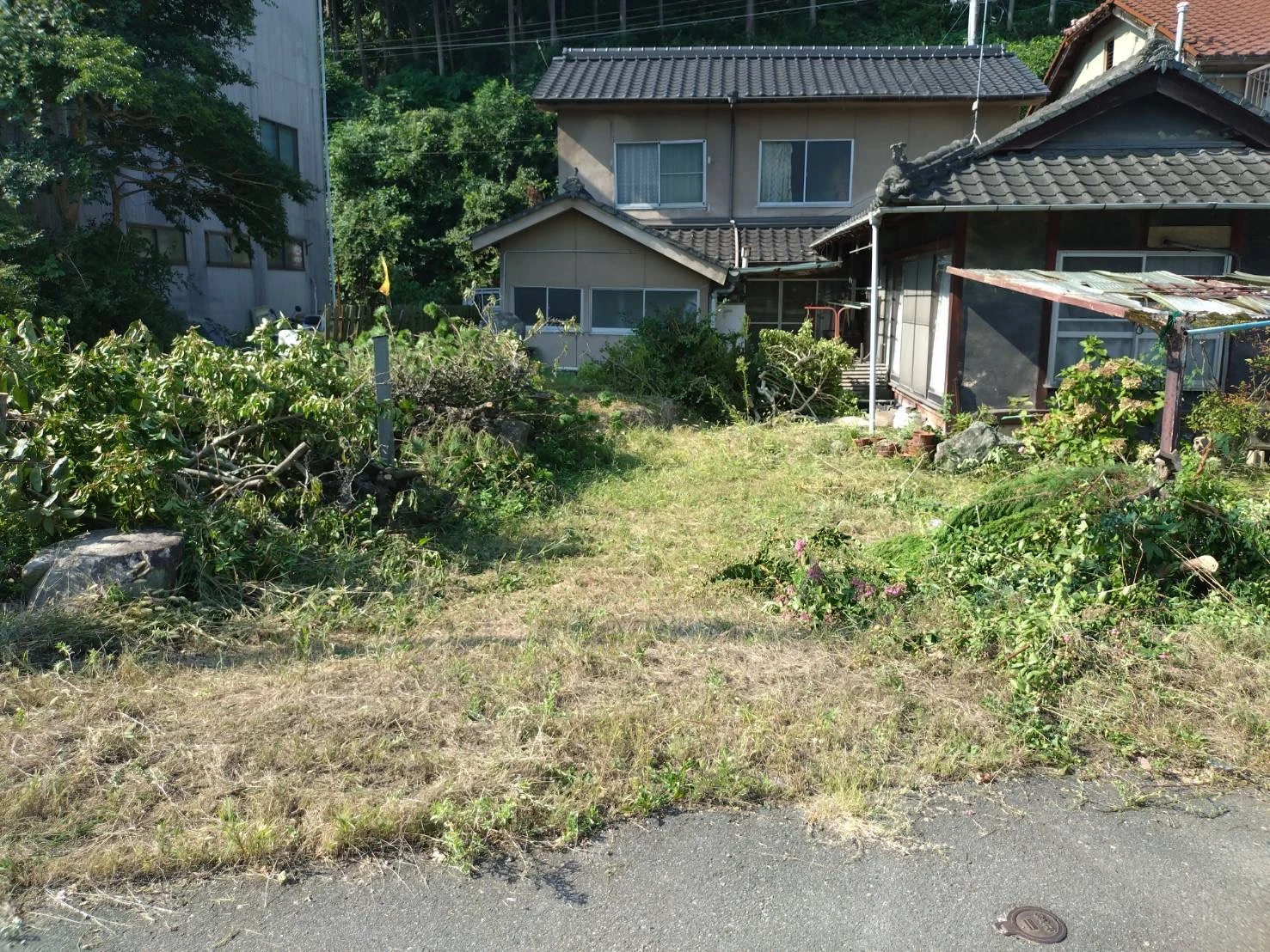 空き家だったときのようす（画像提供：NPO法人ペットマナーおのみち）