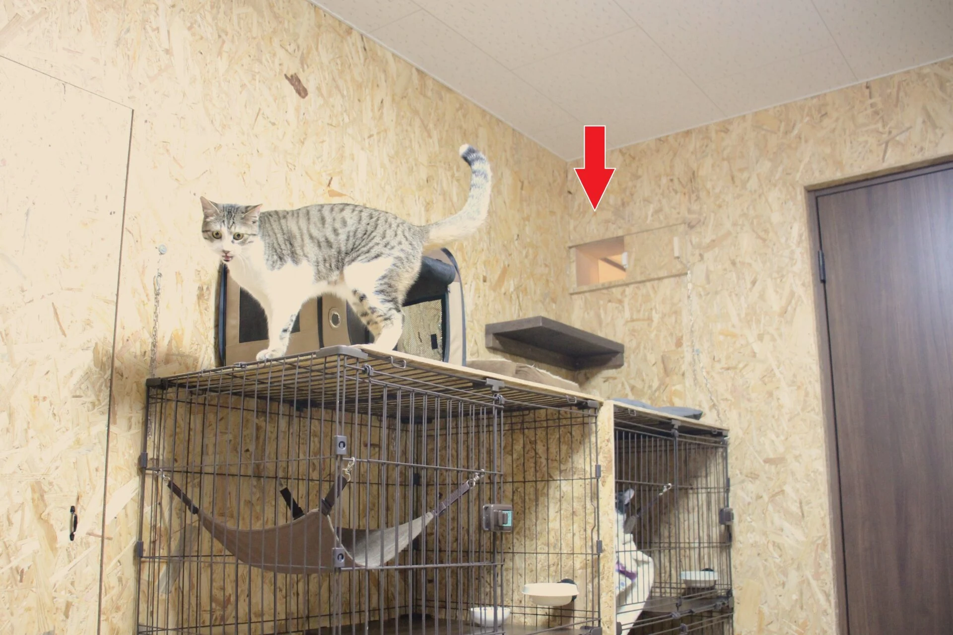 居室の中。矢印の下がカフェへ続く入口