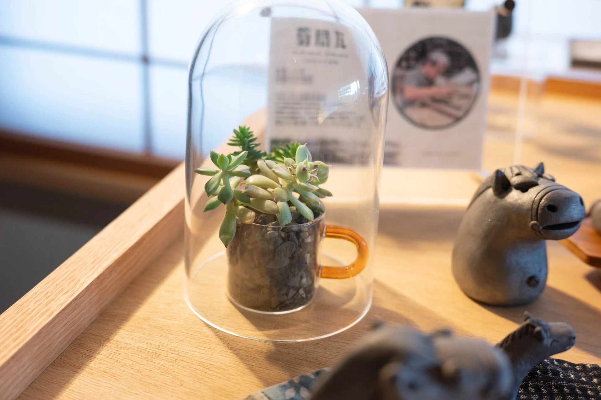 びんごテコラを使った多肉植物の寄せ植え