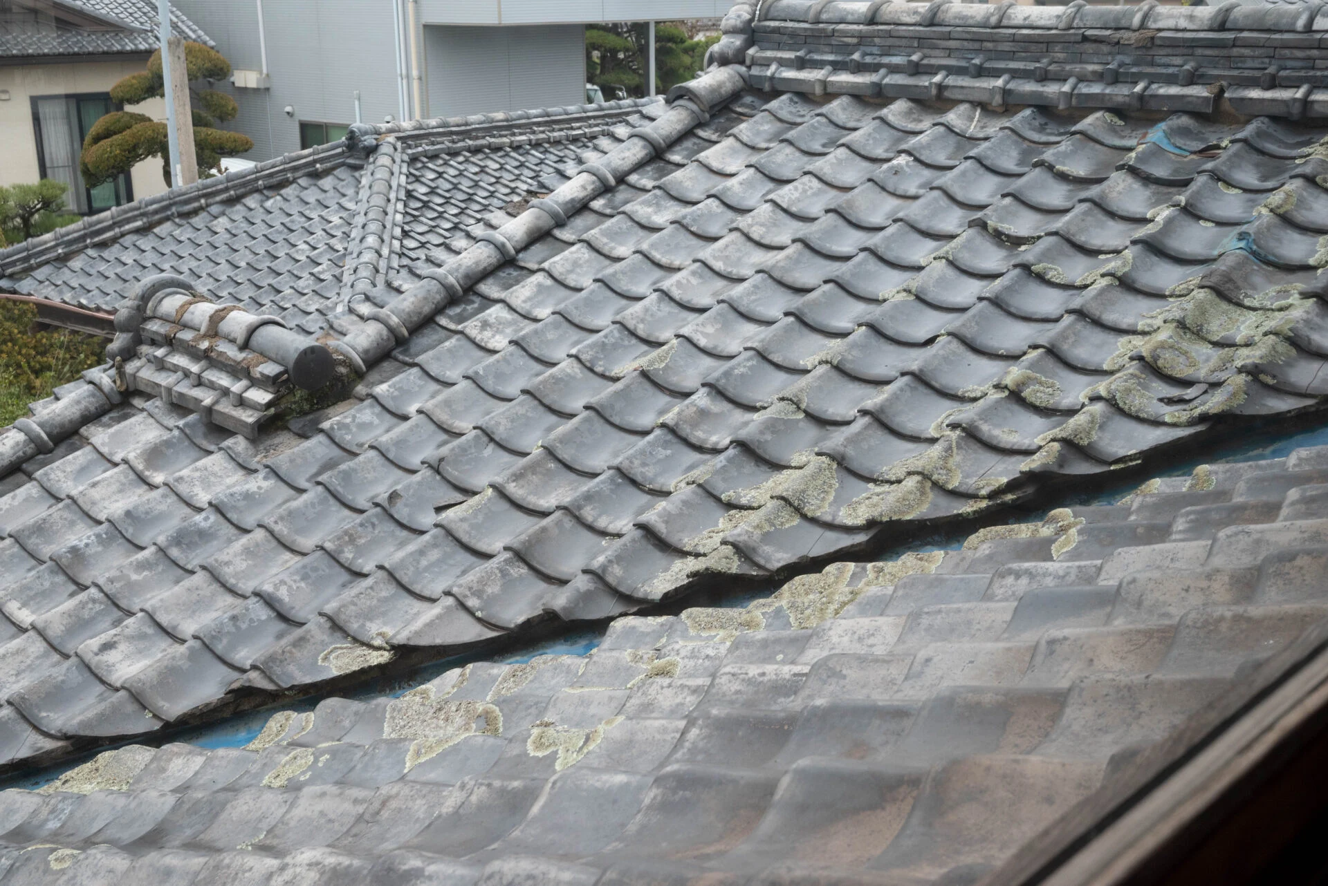 2階から見える屋根の瓦は、およそ90年前に藤井製瓦で造られたもの