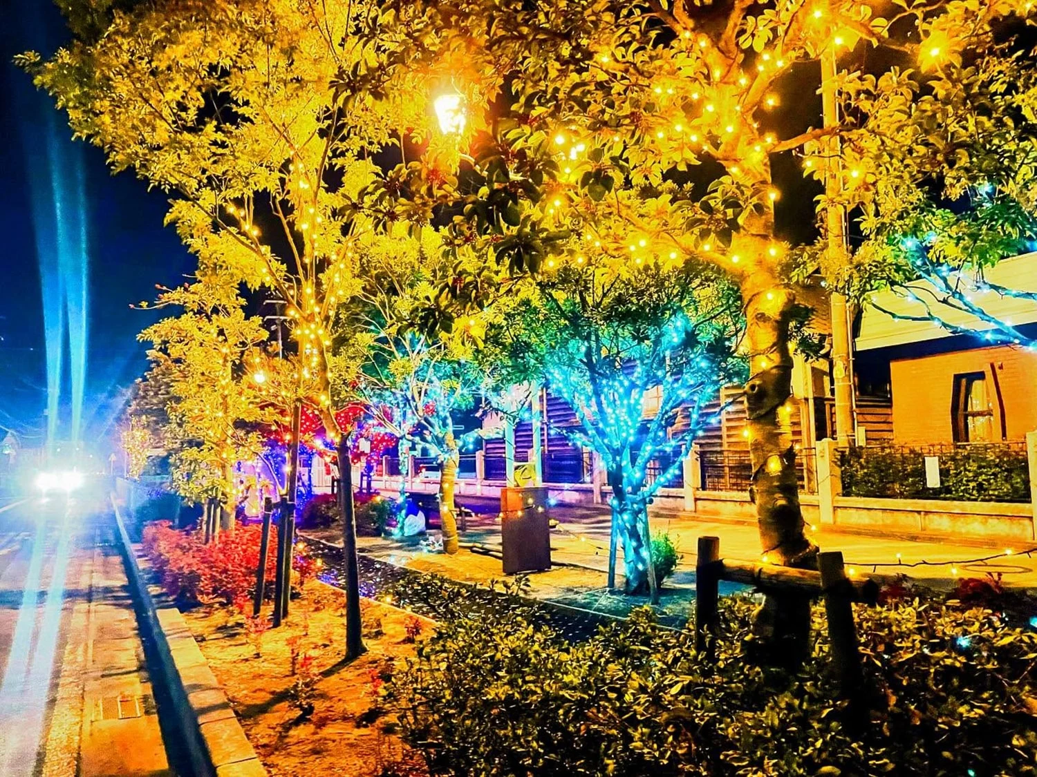 （写真提供：まつながまるっとプロジェクト）