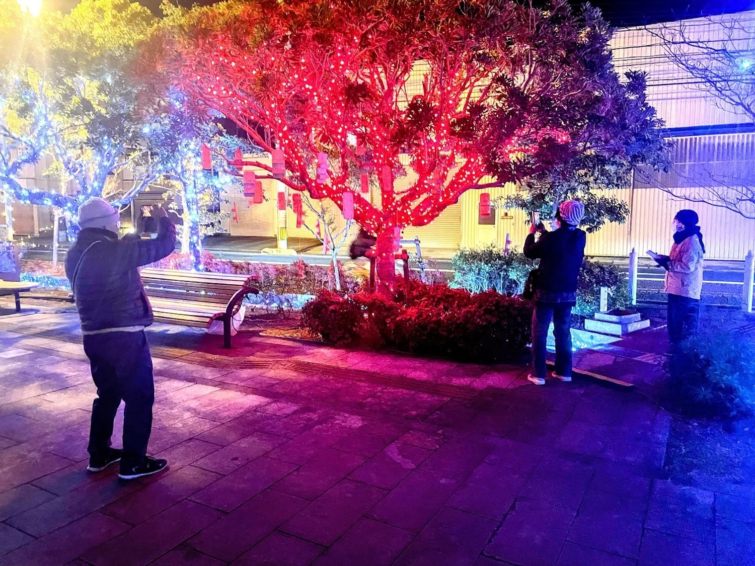 せせらぎイルミ（写真提供：まつながまるっとプロジェクト）