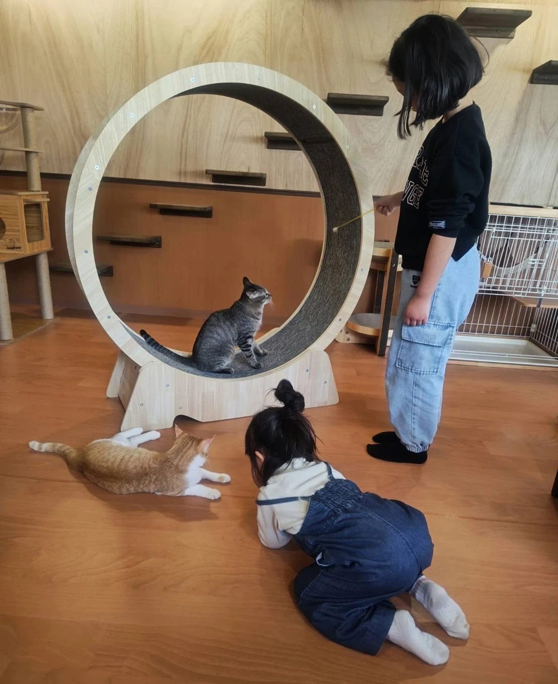 そっと見守る優しい子どもたち(画像提供:NPO法人ペットマナーおのみち)