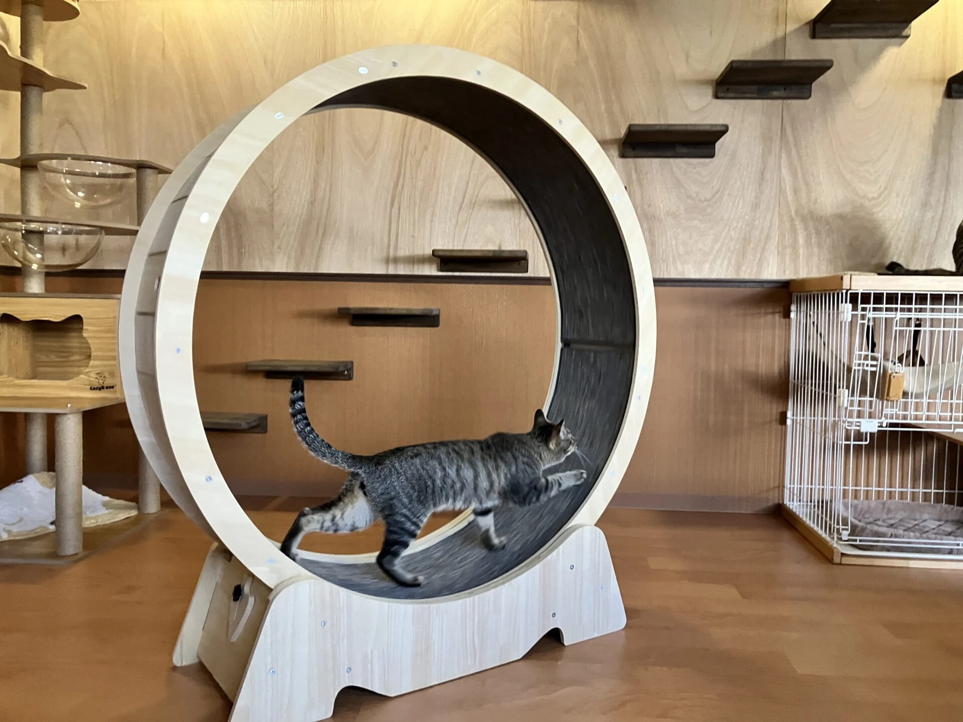 アイキャッチ画像2